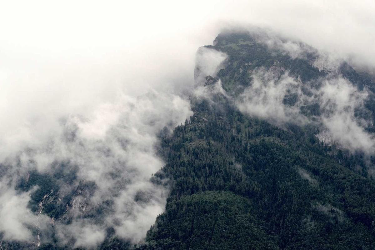 A collage of Retro Retro Fable's products and team members, representing the brand's mission.